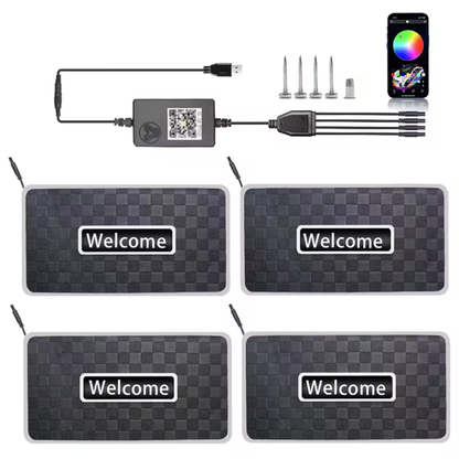 Custom RGB LED Car Mats